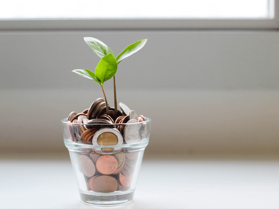 Plant growing in coins