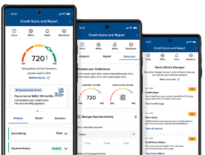 Credit Score with Del-One FCU