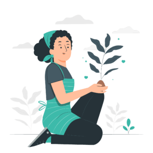 Seeding-pana